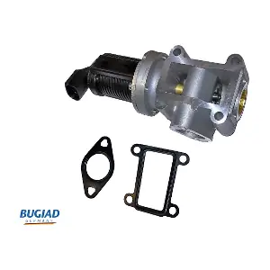 BGR13042 BUGIAD
