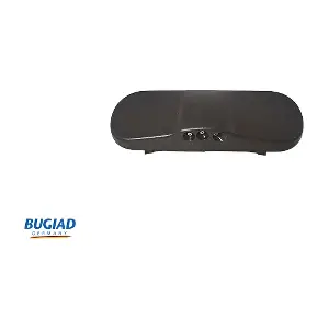 BHN12613 BUGIAD