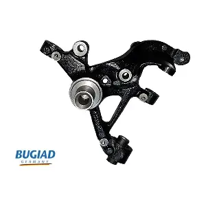BSP25053 BUGIAD