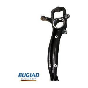BSP25549 BUGIAD