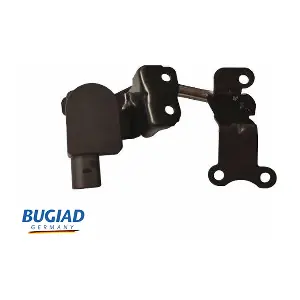 BXS19645 BUGIAD