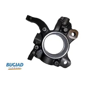 BSP25143 BUGIAD