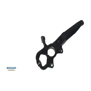 BSP25504 BUGIAD