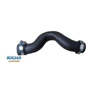 BUGIAD 82239