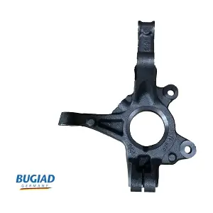 BSP25369 BUGIAD
