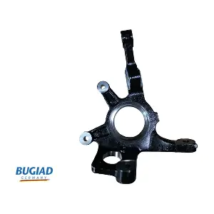BSP25379 BUGIAD