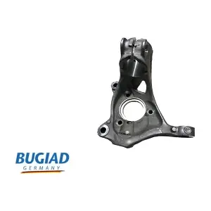 BSP25042 BUGIAD
