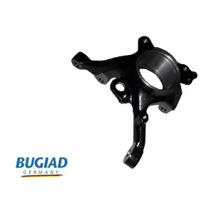 BSP25051 BUGIAD