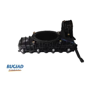 BUGIAD BIM17033