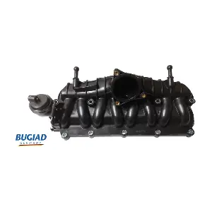 BIM17040 BUGIAD