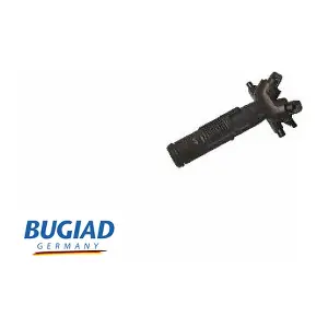BHW16589 BUGIAD