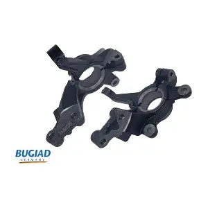 BSP25315 BUGIAD