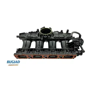 BUGIAD BIM17008