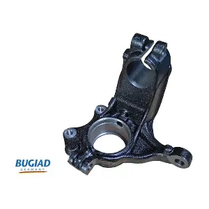 BSP25455 BUGIAD