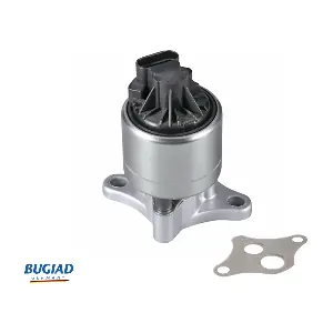 BGR13029 BUGIAD