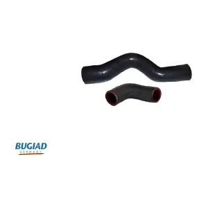 88797 BUGIAD
