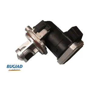BGR13123 BUGIAD