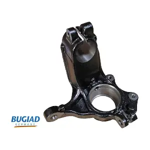 BSP25454 BUGIAD