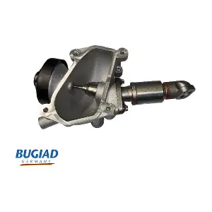 BGR13113 BUGIAD