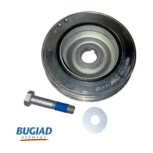 BCP16734 BUGIAD