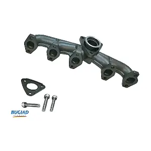 BSP25248 BUGIAD