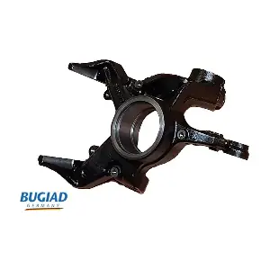 BSP20308 BUGIAD