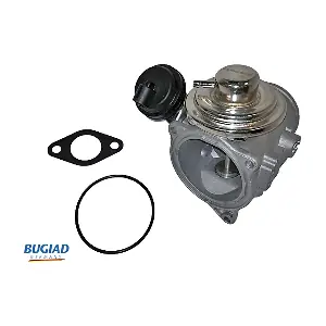 BGR13018 BUGIAD