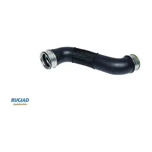 81617 BUGIAD