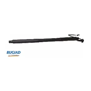 BRD50760 BUGIAD
