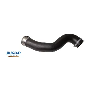 BUGIAD 82493