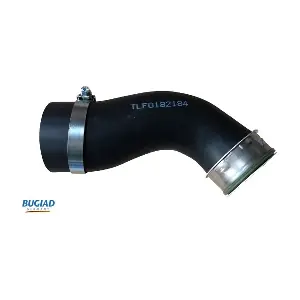 BUGIAD 82184