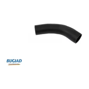 BUGIAD 88617