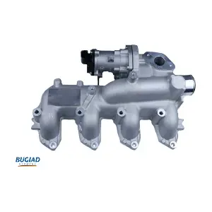 BGR13094 BUGIAD