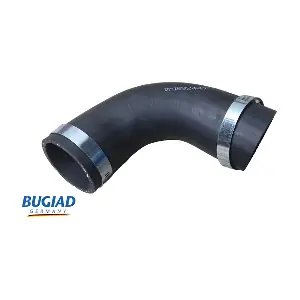 BUGIAD 82447