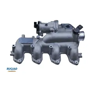 BGR13095 BUGIAD