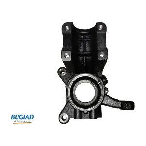 BSP25291 BUGIAD