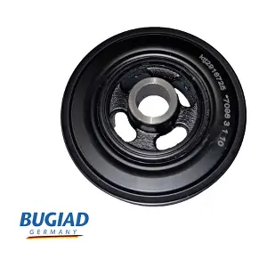 BCP16725 BUGIAD