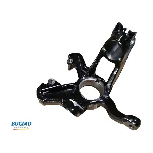 BSP25433 BUGIAD