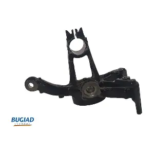BSP25432 BUGIAD