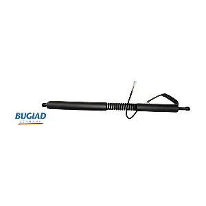 BRD50771 BUGIAD