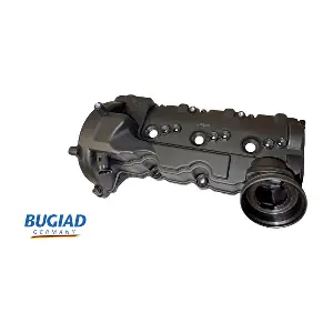 BVC50067 BUGIAD