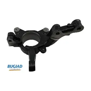 BSP25302 BUGIAD