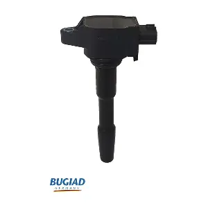 BIC19814 BUGIAD