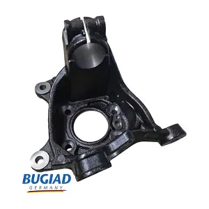 BSP25452 BUGIAD