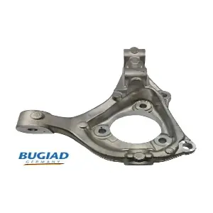 BSP25338 BUGIAD