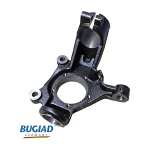 BSP25533 BUGIAD