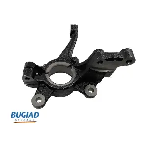 BSP25316 BUGIAD