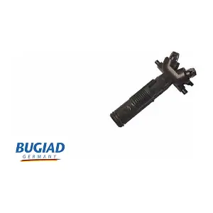 BHW16588 BUGIAD