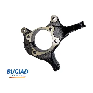BSP25602 BUGIAD