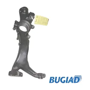 BSP20027 BUGIAD